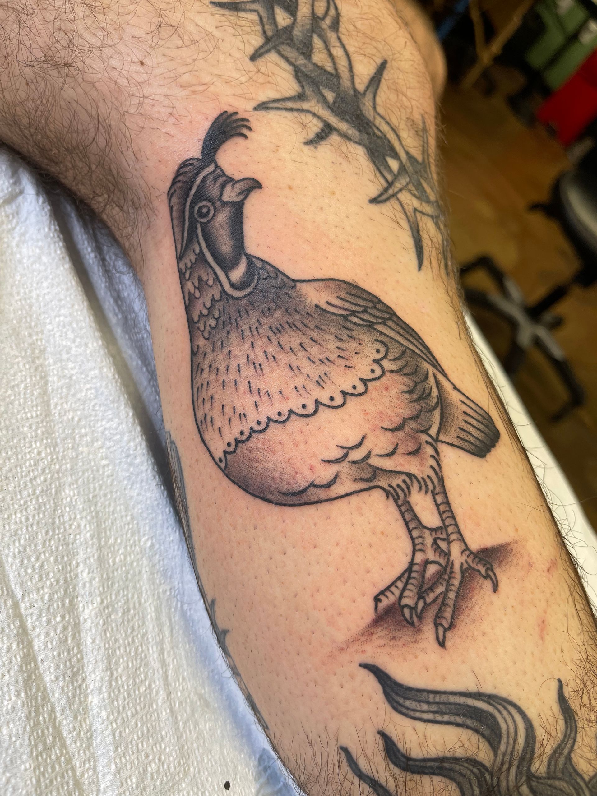 Tattoo of a quail with spiky crest on leg.  Shaded in black and gray.  Thorned crown above.