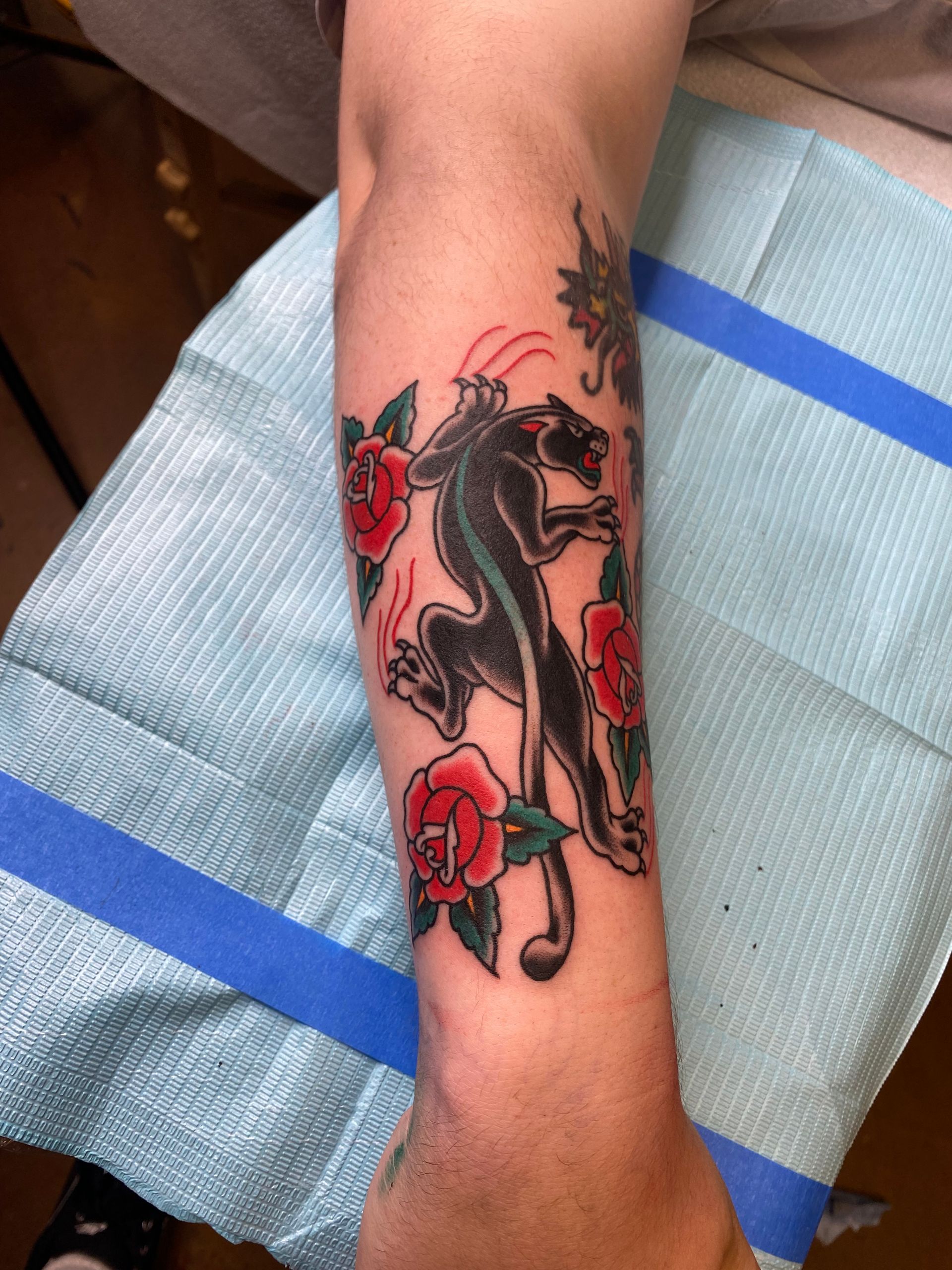 Arm tattoo of a black panther with red roses and claw marks.