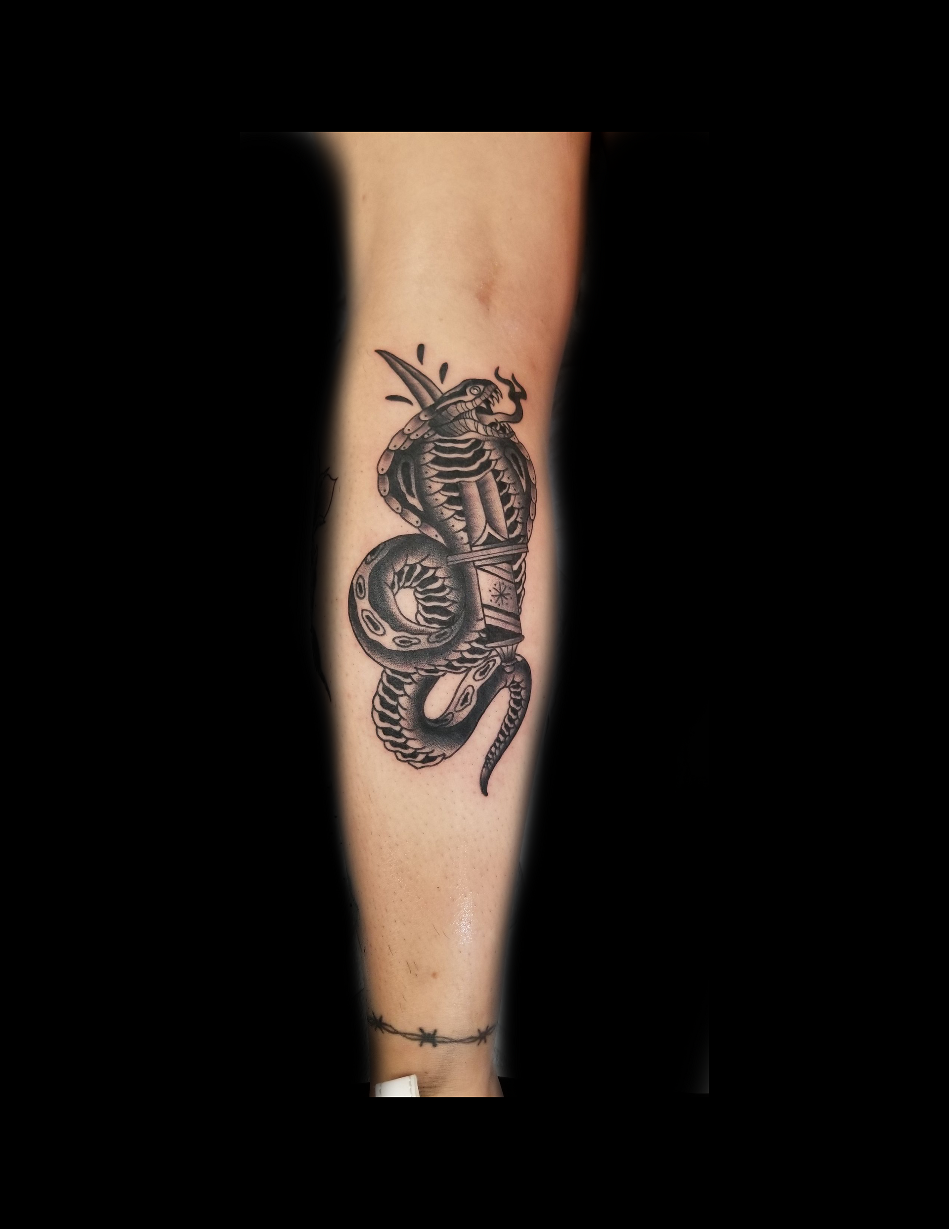Tattoo of a coiled cobra with a skull on a forearm; black and gray ink.
