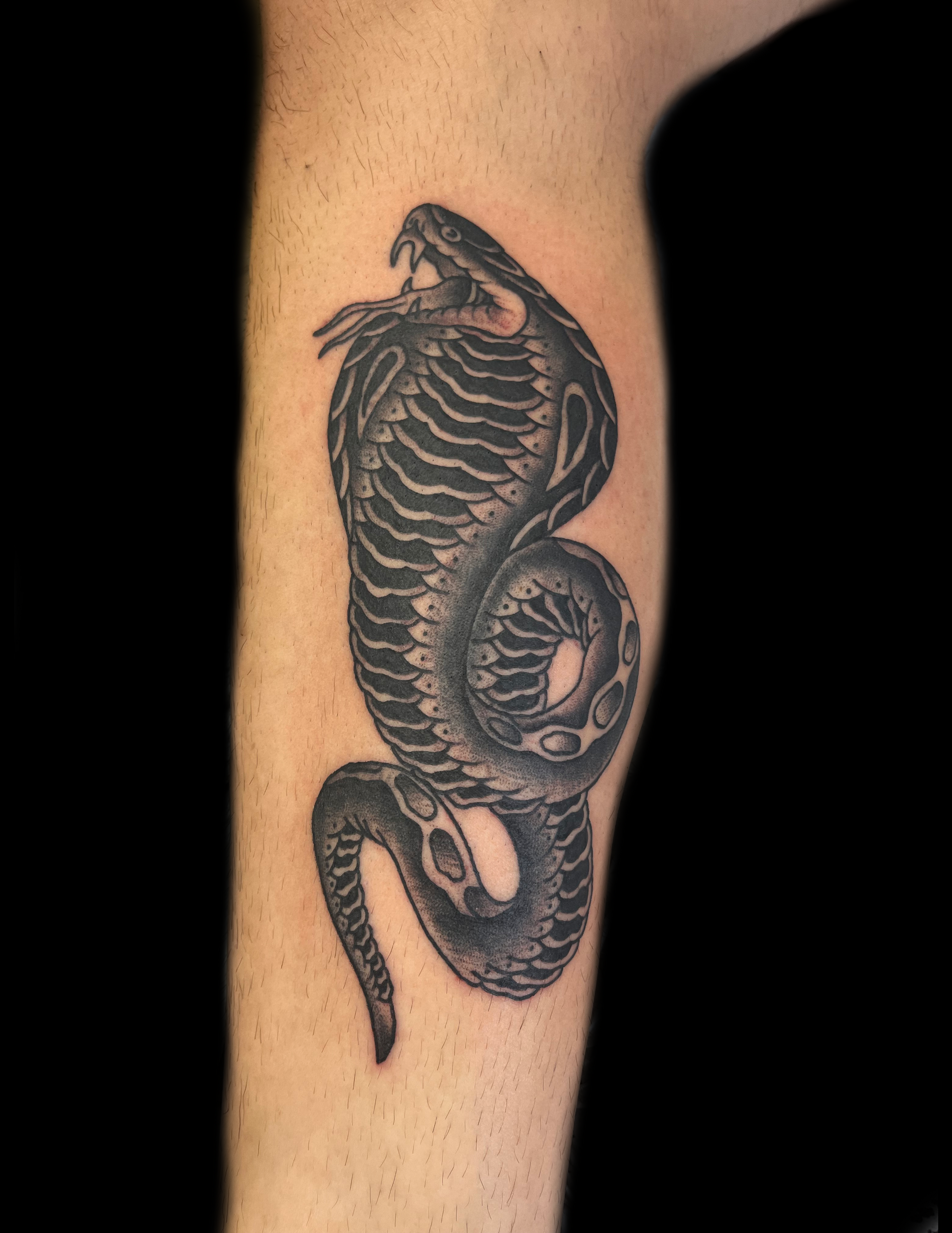 Black and gray cobra tattoo on a leg. Snake is coiled and has its hood expanded, mouth open.