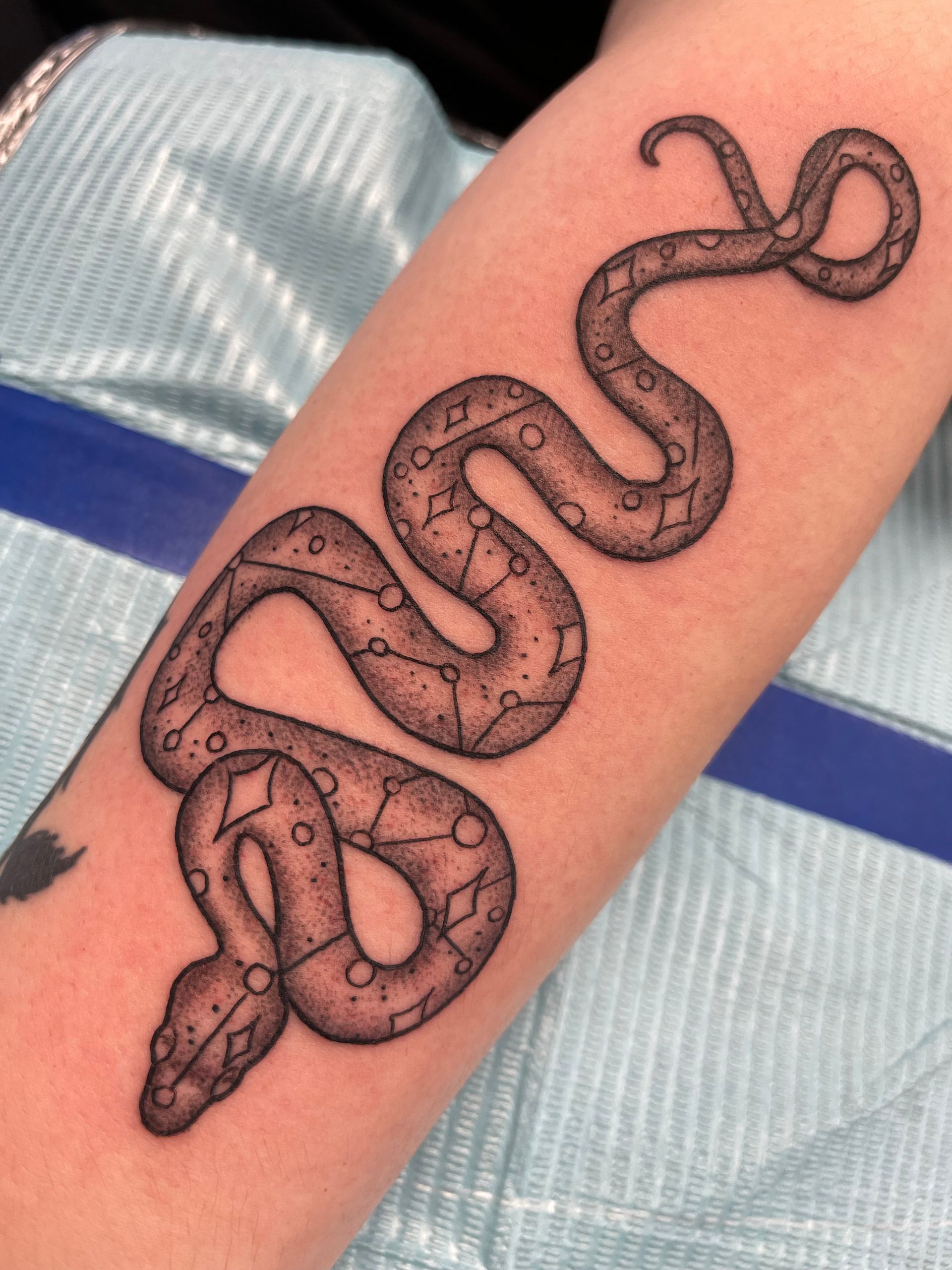 Tattoo of a black and white snake winding on a person's forearm, patterned scales.