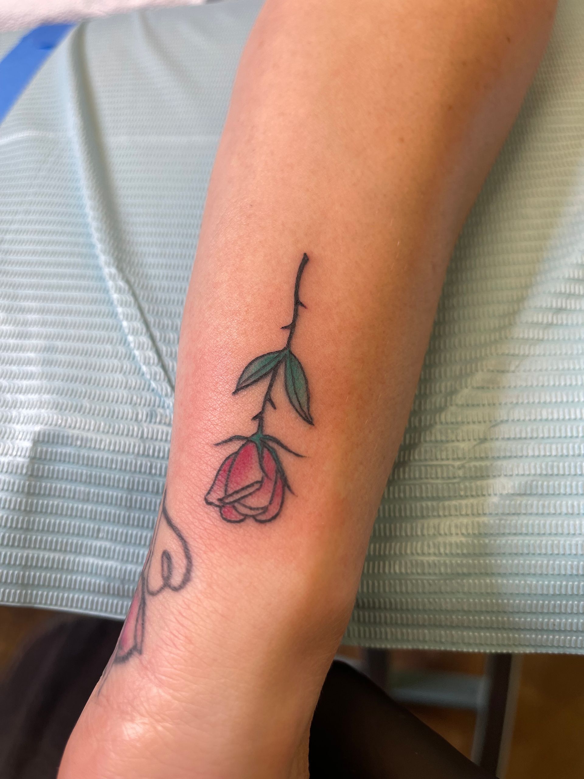 Tattoo of a pink rose on a wrist. Green leaves and a thorny stem.