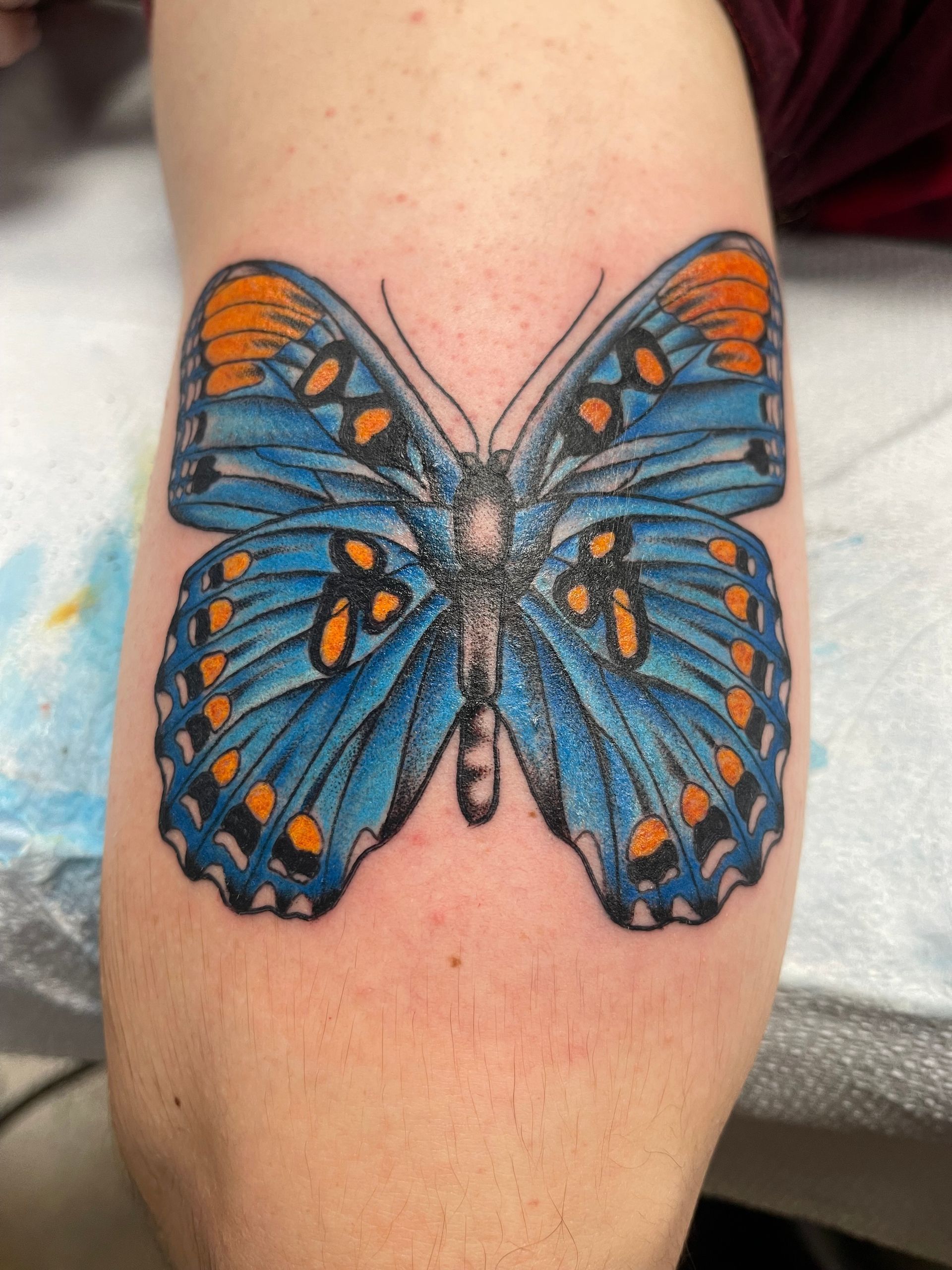 Blue and orange butterfly tattoo on a person's forearm.