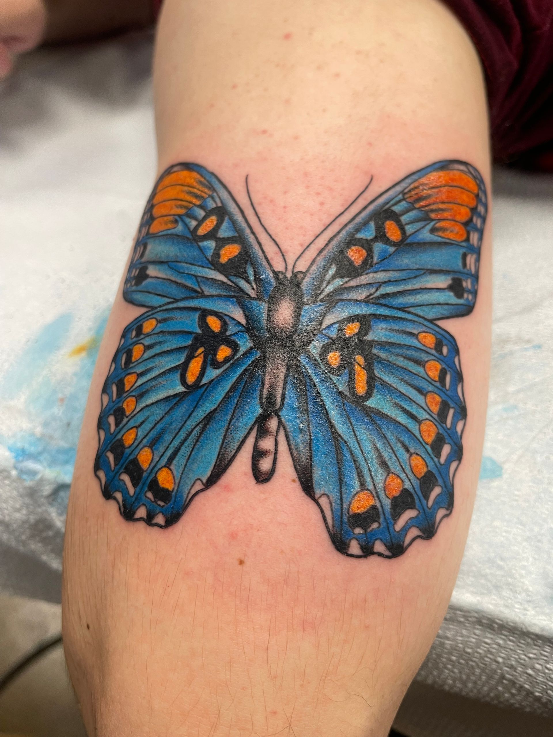 Blue and orange butterfly tattoo on arm.