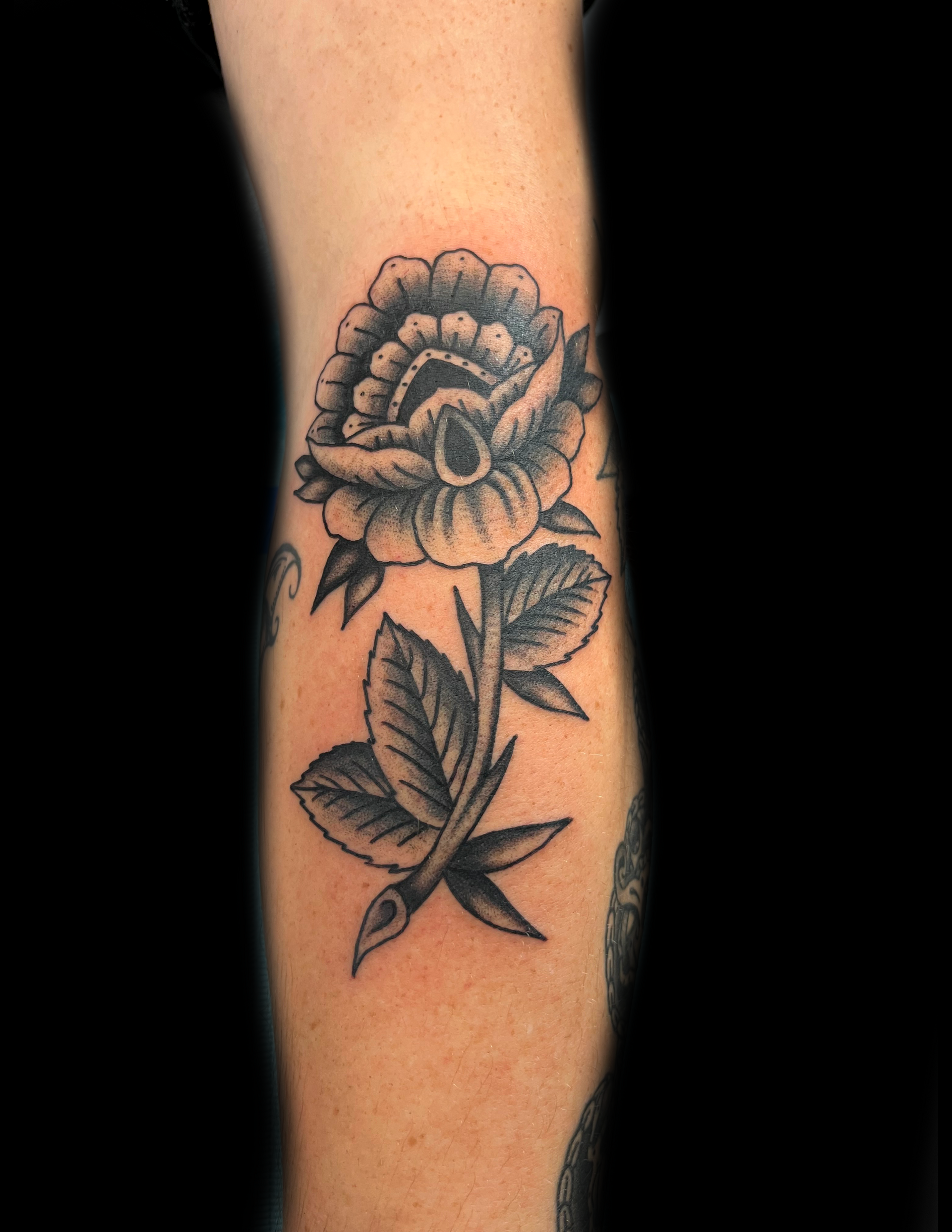 Black and white traditional rose tattoo on forearm, with detailed petals and leaves.