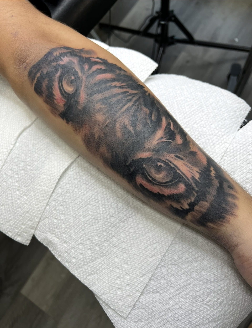 Forearm tattoo of a wolf’s face in black and gray, resting on a white padded surface