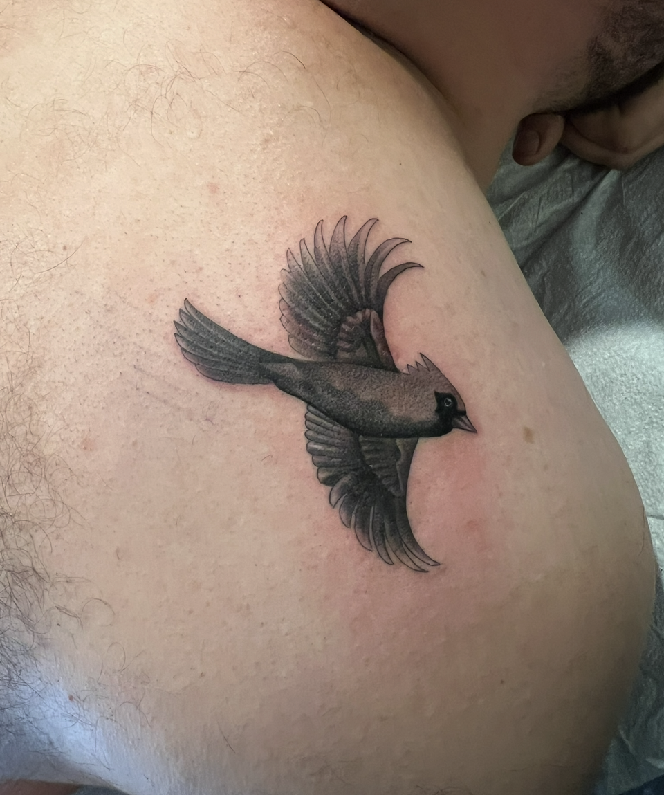 Black bird tattoo on a person's upper back/shoulder near a gray pillow.