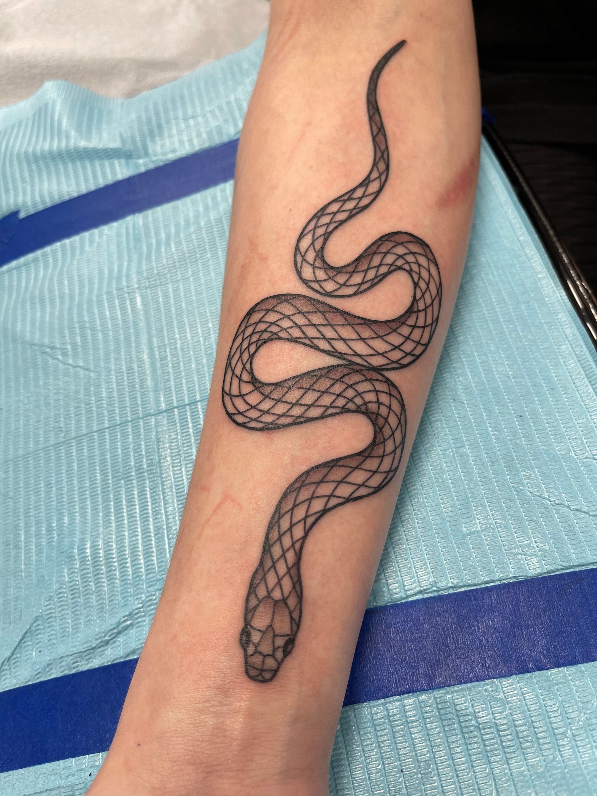 Tattoo of a black snake coiled down a forearm. The snake has a scale pattern and a pointed head.