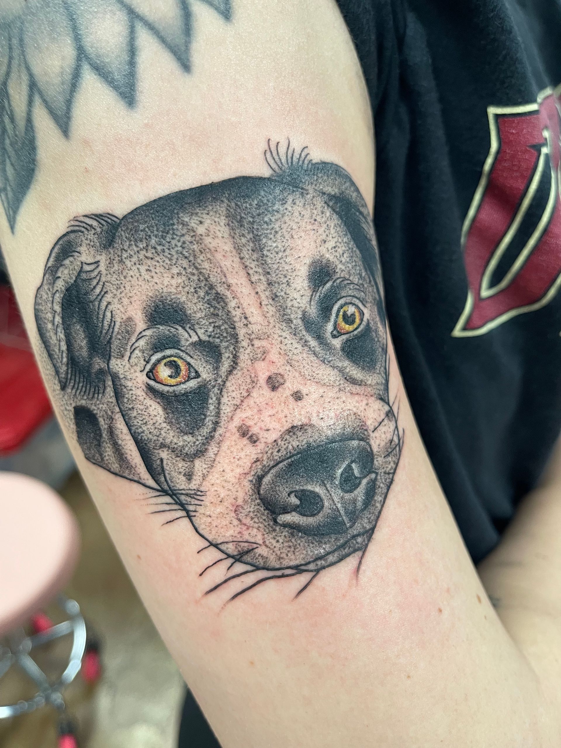 Dog portrait tattoo on a person's arm, rendered in black and gray dotwork.