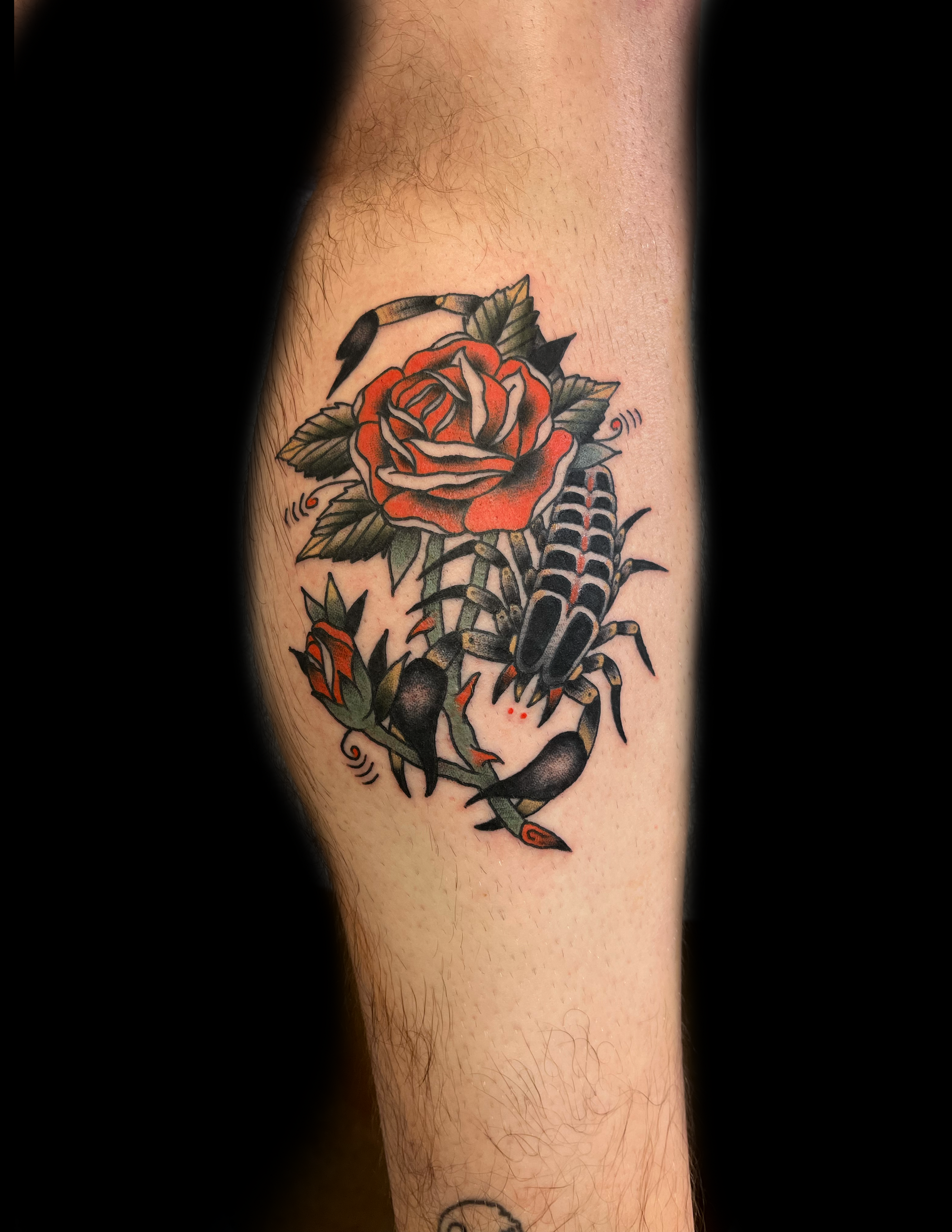 Tattoo on leg: scorpion with red rose and leaves. Black ink, gray shading, against black background.