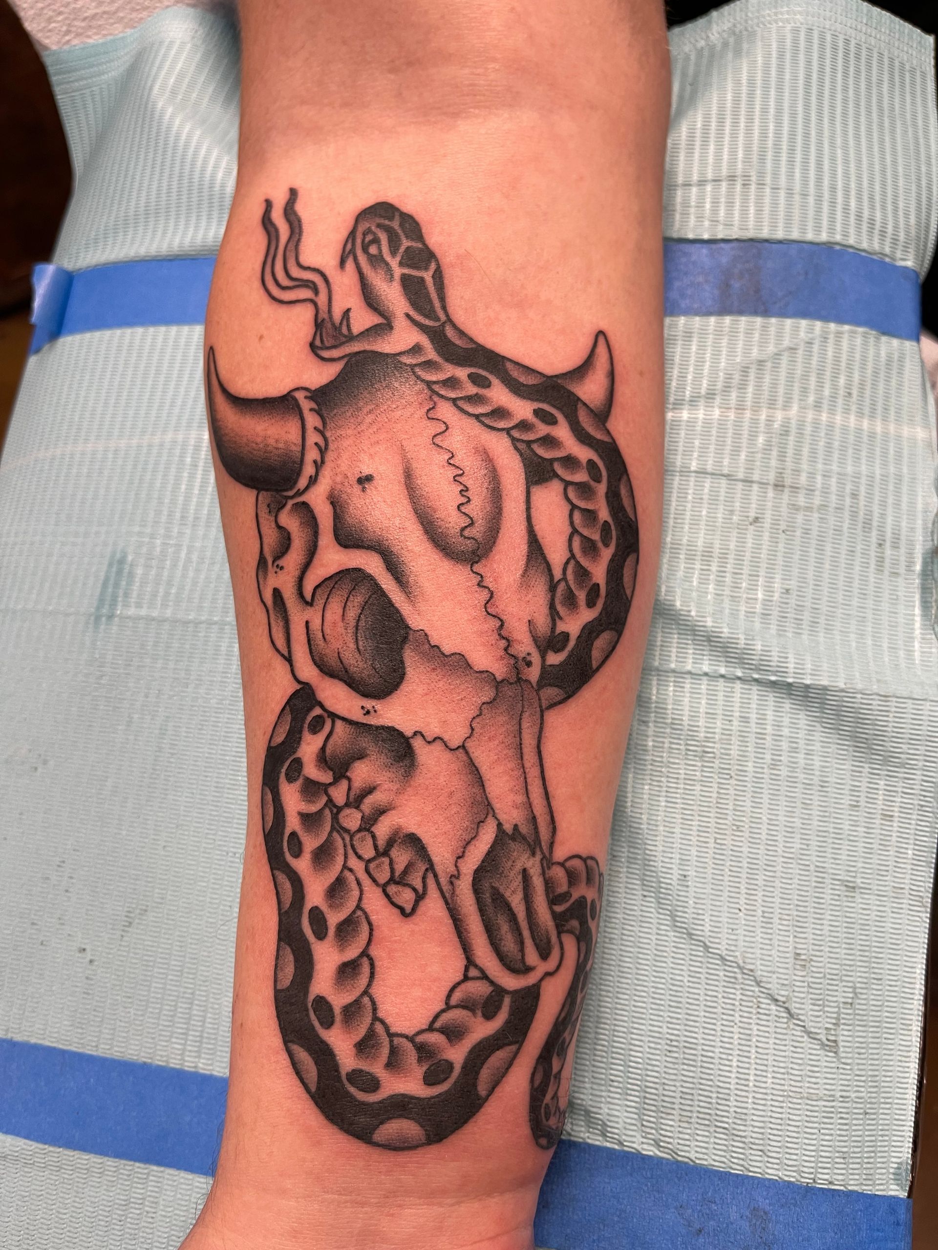 Black and gray tattoo of a bull skull with a snake coiled around it on a forearm.