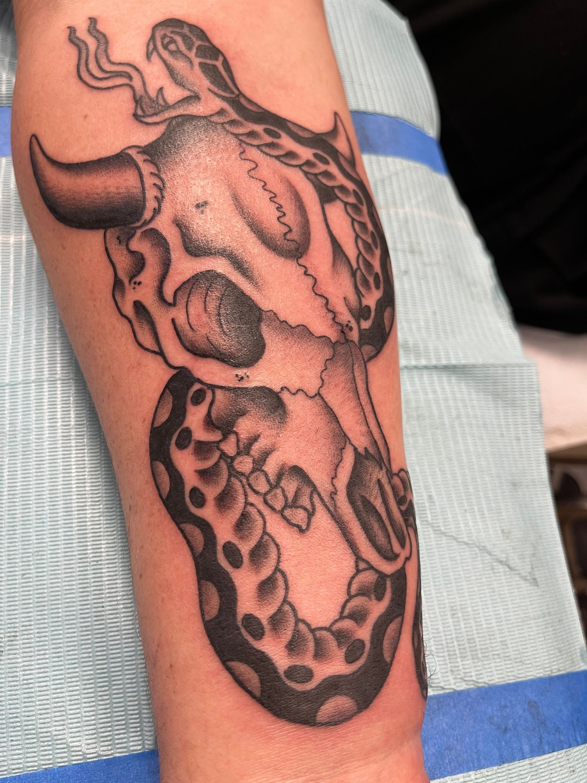 Tattoo of a bull skull with a snake wrapped around it on an arm, with dot shading.