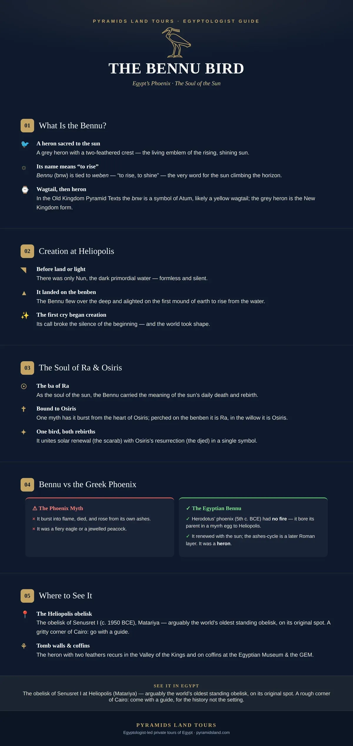 Infographic: the Egyptian Bennu bird — the heron of creation, the original phoenix, and where to see it.