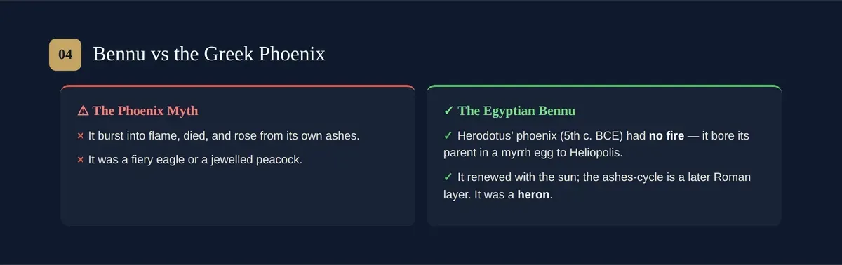 Bennu vs phoenix — the Greek phoenix derives from Egypt's Bennu, but its fiery death is a later addition.