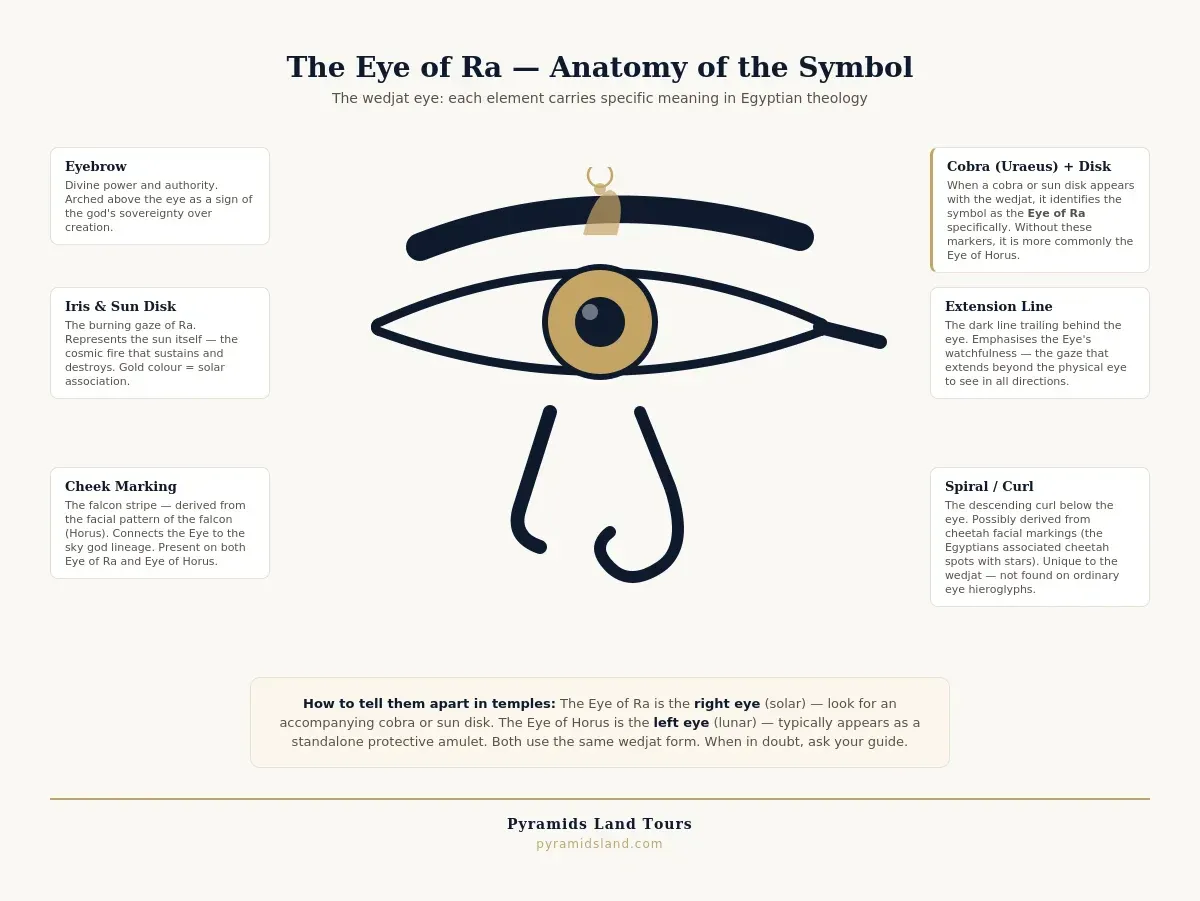 Labelled diagram of the Eye of Ra wedjat symbol showing six elements — the eyebrow representing divine authority, the gold iris representing the sun, the pupil, the falcon cheek marking connecting to Horus, the trailing extension line representing watchfulness, the descending spiral, and the cobra uraeus with sun disk that identifies this as the Eye of Ra rather than the Eye of Horus