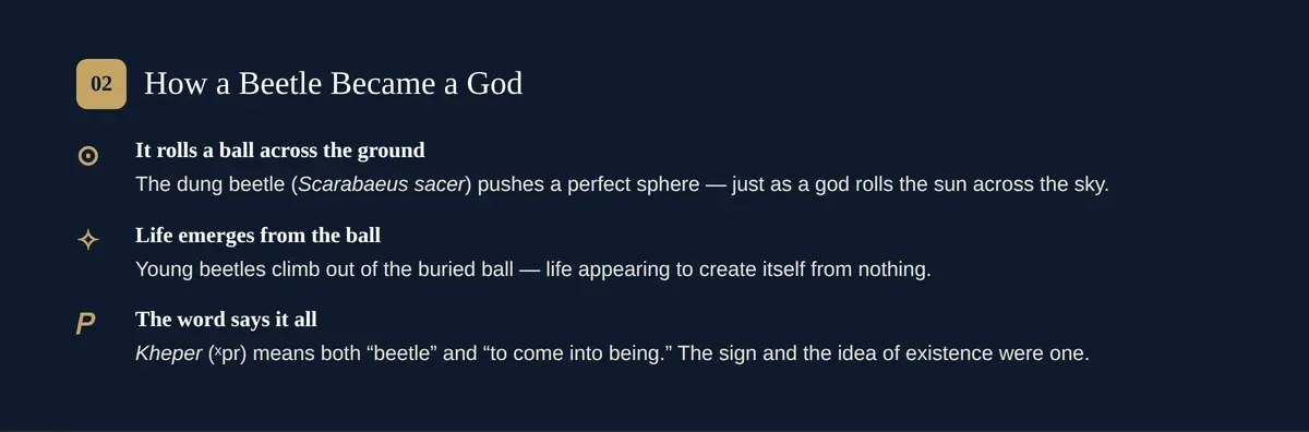 How the dung beetle Scarabaeus sacer became a god: rolling its ball, life from the ball, and the word kheper.