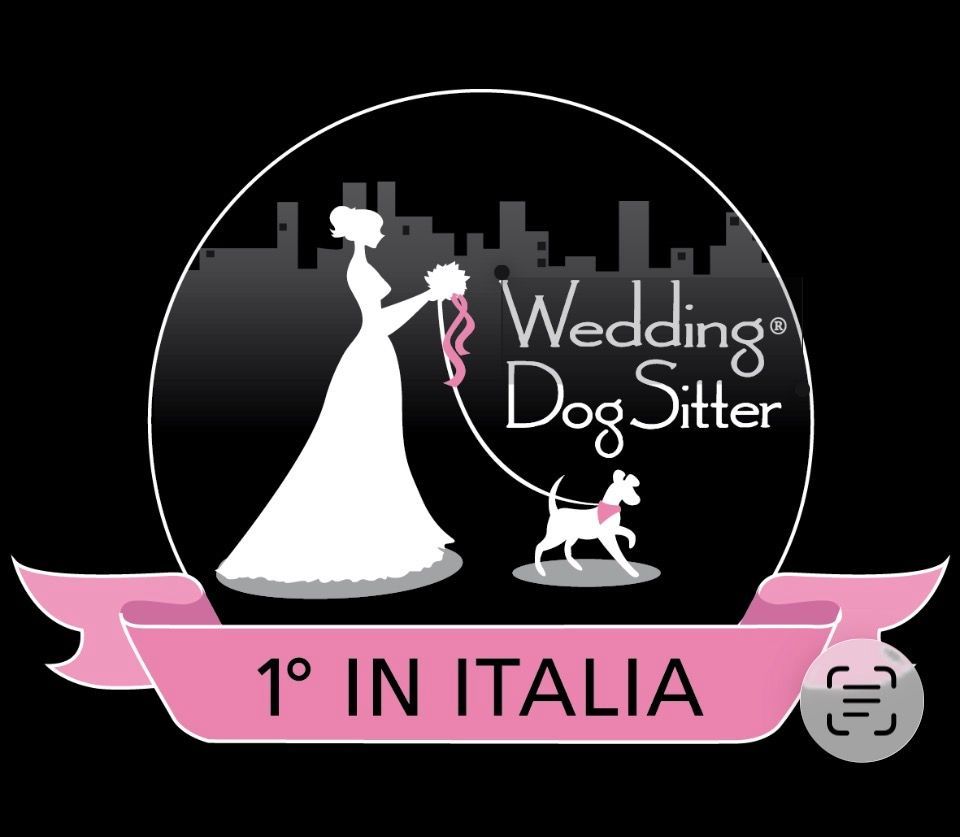 Visita il sito web