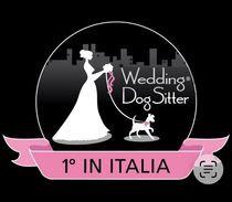 Visita il sito web