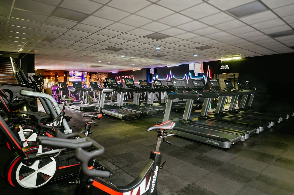 Cardio zone at Team Rees Gym Caerphilly with treadmills, bikes and climbers.