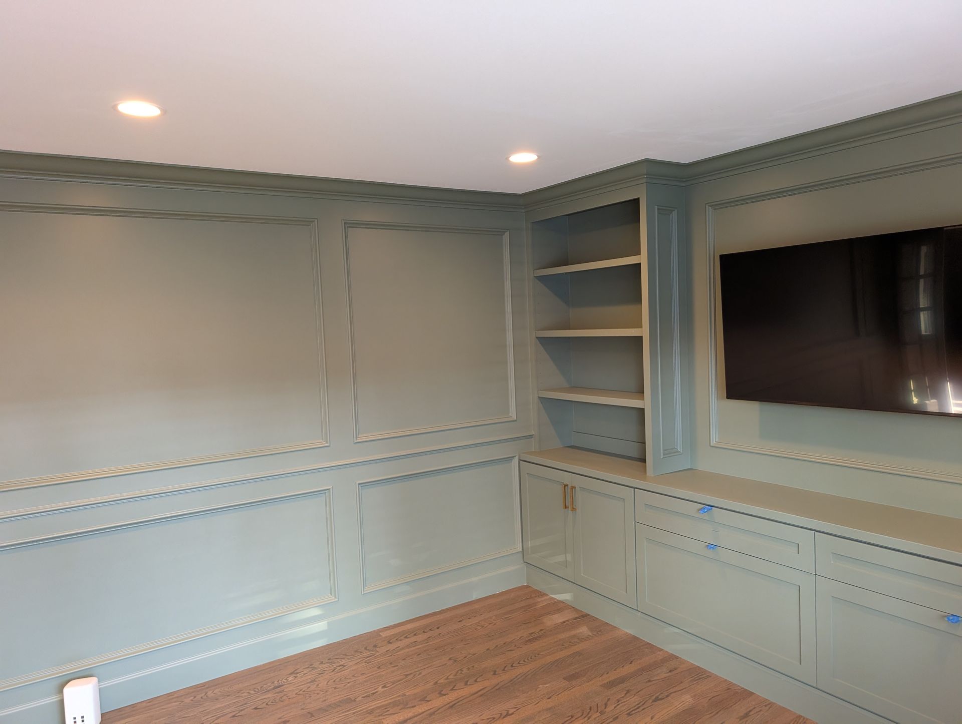 Empty living room with blue paneled walls, built-in shelves, wood floor, and wall-mounted TV