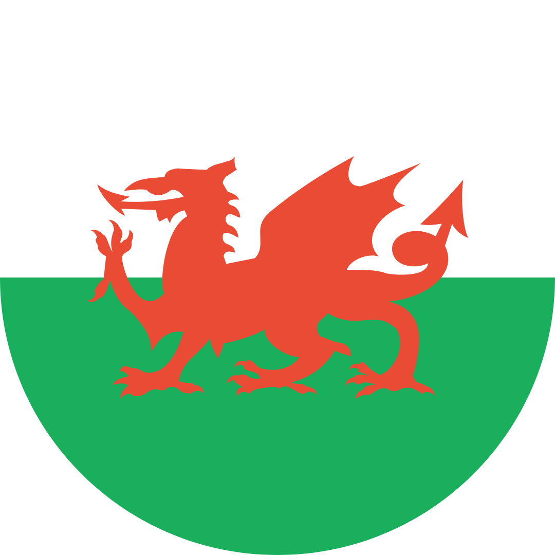 Red dragon on a green and white background, the flag of Wales.