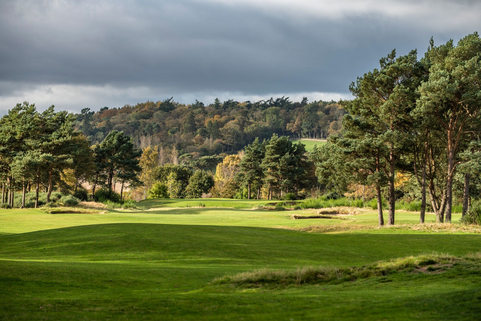 Lush green golf course with trees under a cloudy sky.