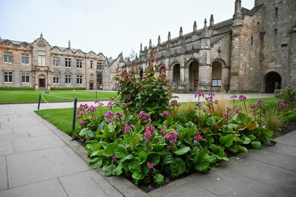 Stone buildings with arched passageway, green lawn, flowerbed with pink flowers, and overcast sky.