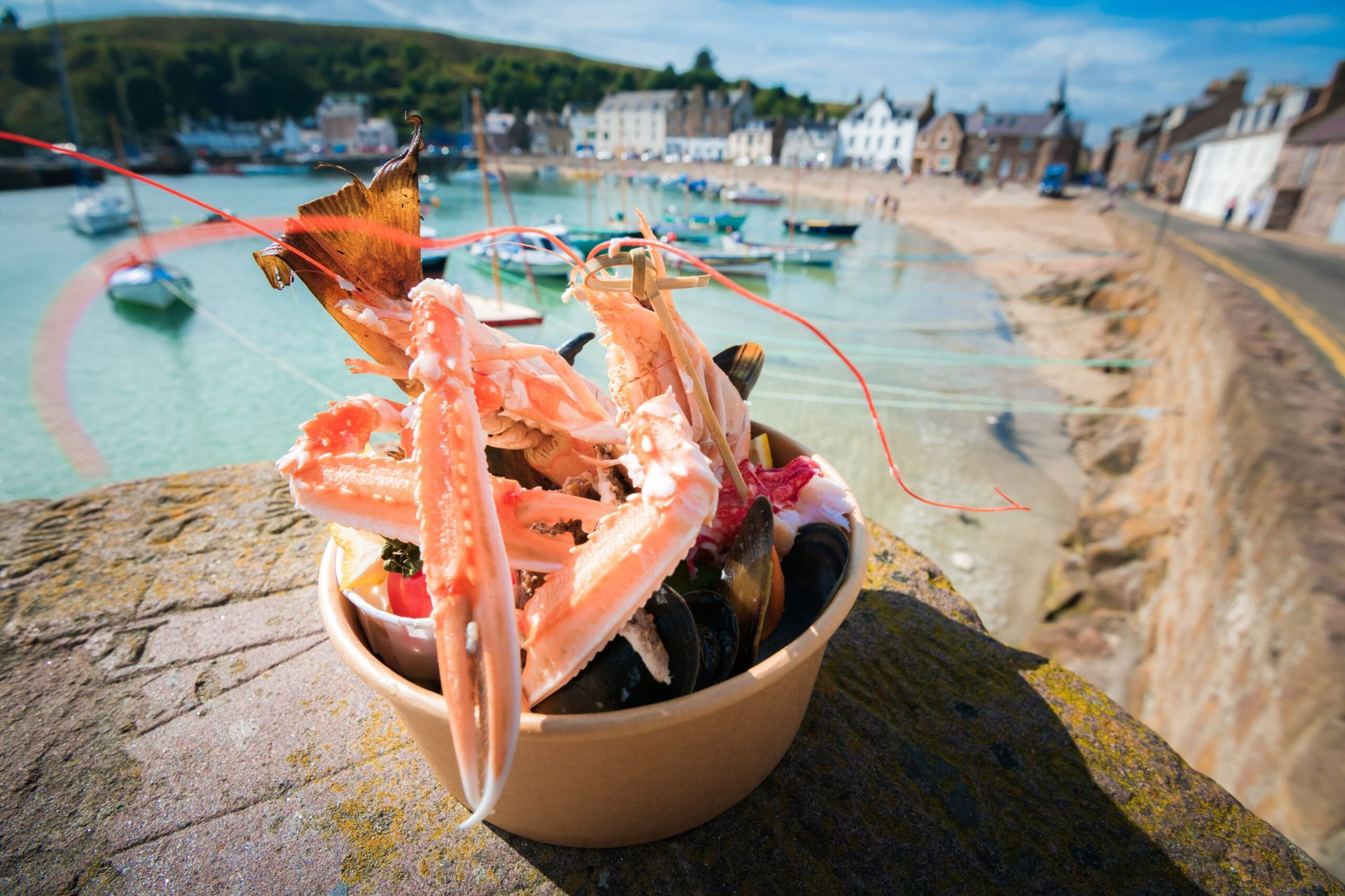 Seafood bucket with crab and lobster on a stone wall, beach and harbor in background.