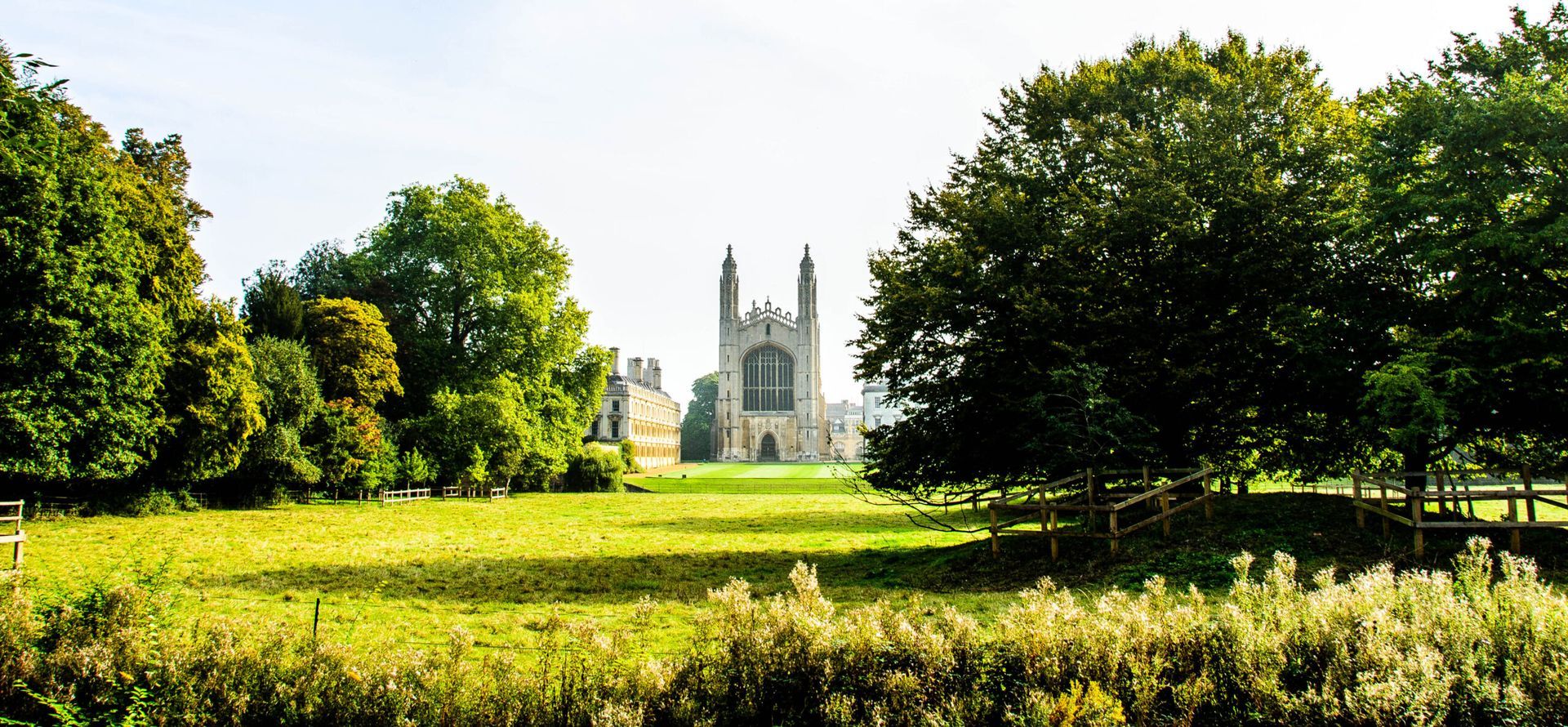 Lush green field with trees and a cathedral in the distance, sunny day.