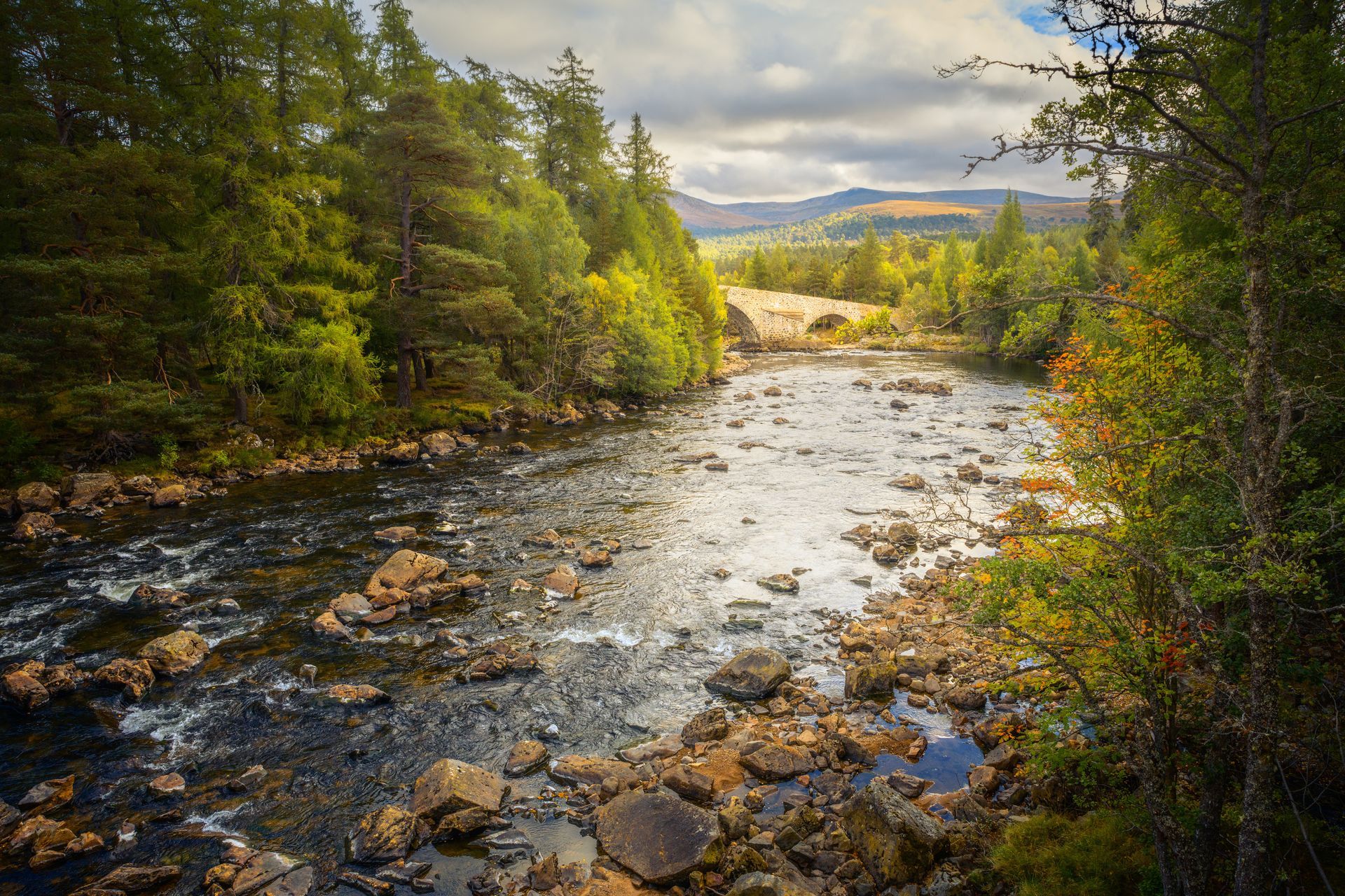 River flowing through a forest with rocky banks, trees, and mountains in the background under a cloudy sky.