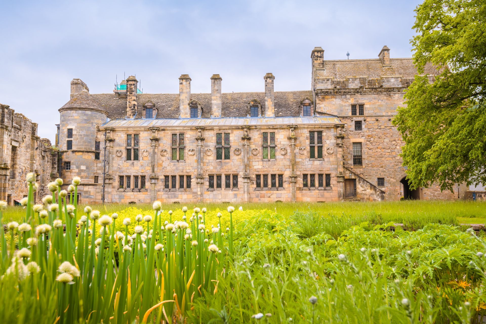 Stone castle with multiple windows, surrounded by a grassy area with white flowers, under a cloudy sky.