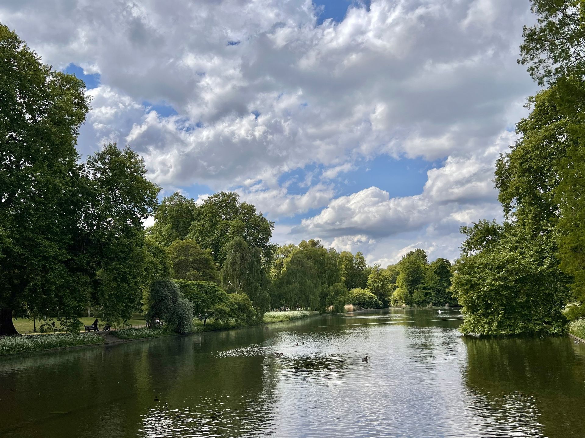 A lake surrounded by lush green trees under a partly cloudy sky.