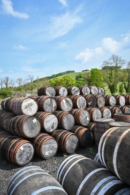 Wooden barrels stacked outdoors, blue sky with green hills in the background.