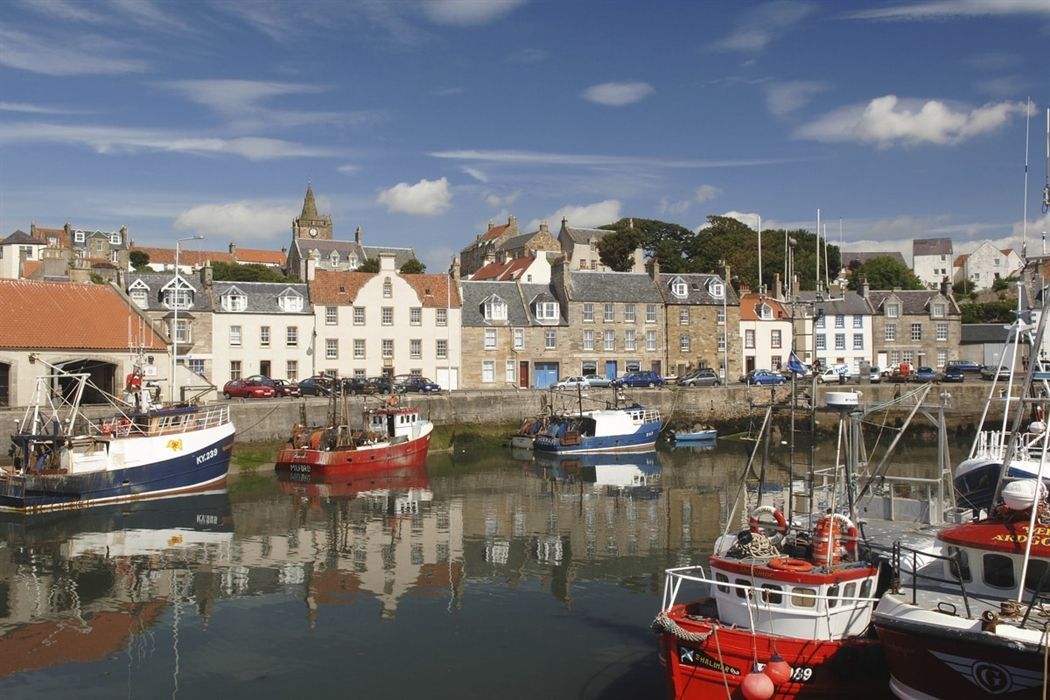 Boats docked in a harbor with buildings in the background under a blue sky.