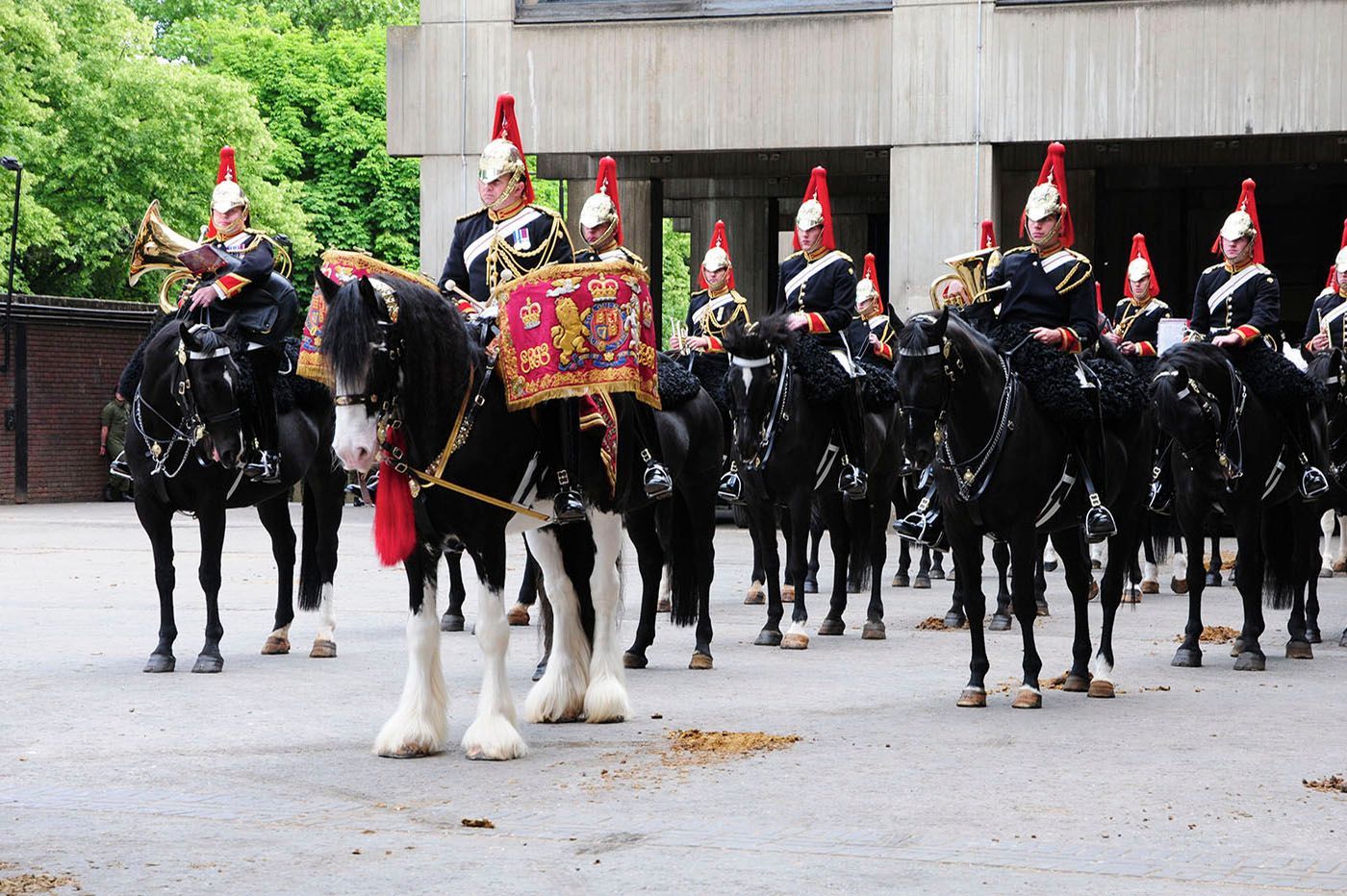 Mounted soldiers in dark uniforms with red plumes, performing in an outdoor setting.