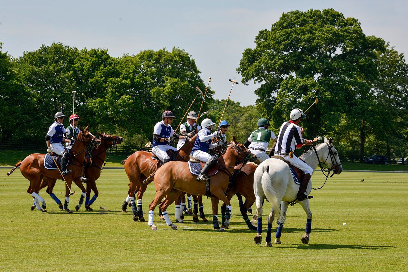 Polo players on horseback, green field, trees in background, one player in black and white stripes.