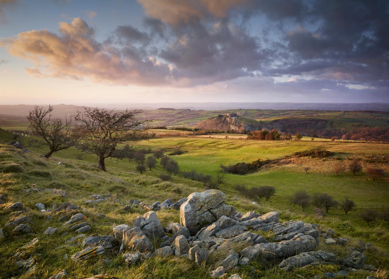 Rolling green hills and fields under a cloudy sky, with rocky foreground and bare trees.
