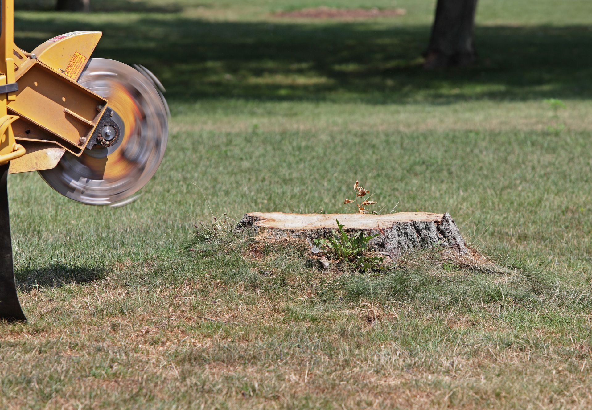 A stump grinding machine actively grinding a tree stump