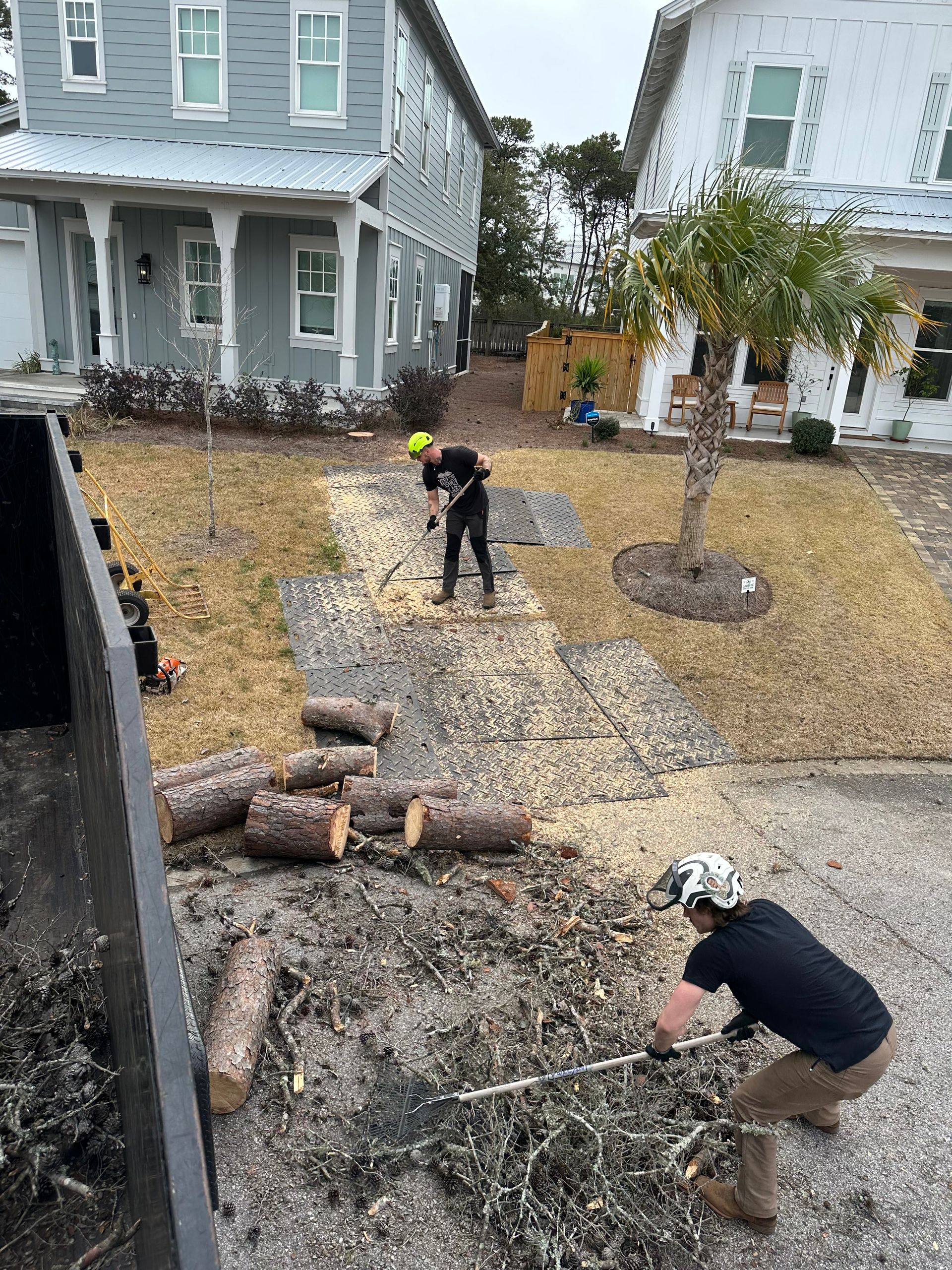 Two Workers Clearing Logs And Debris