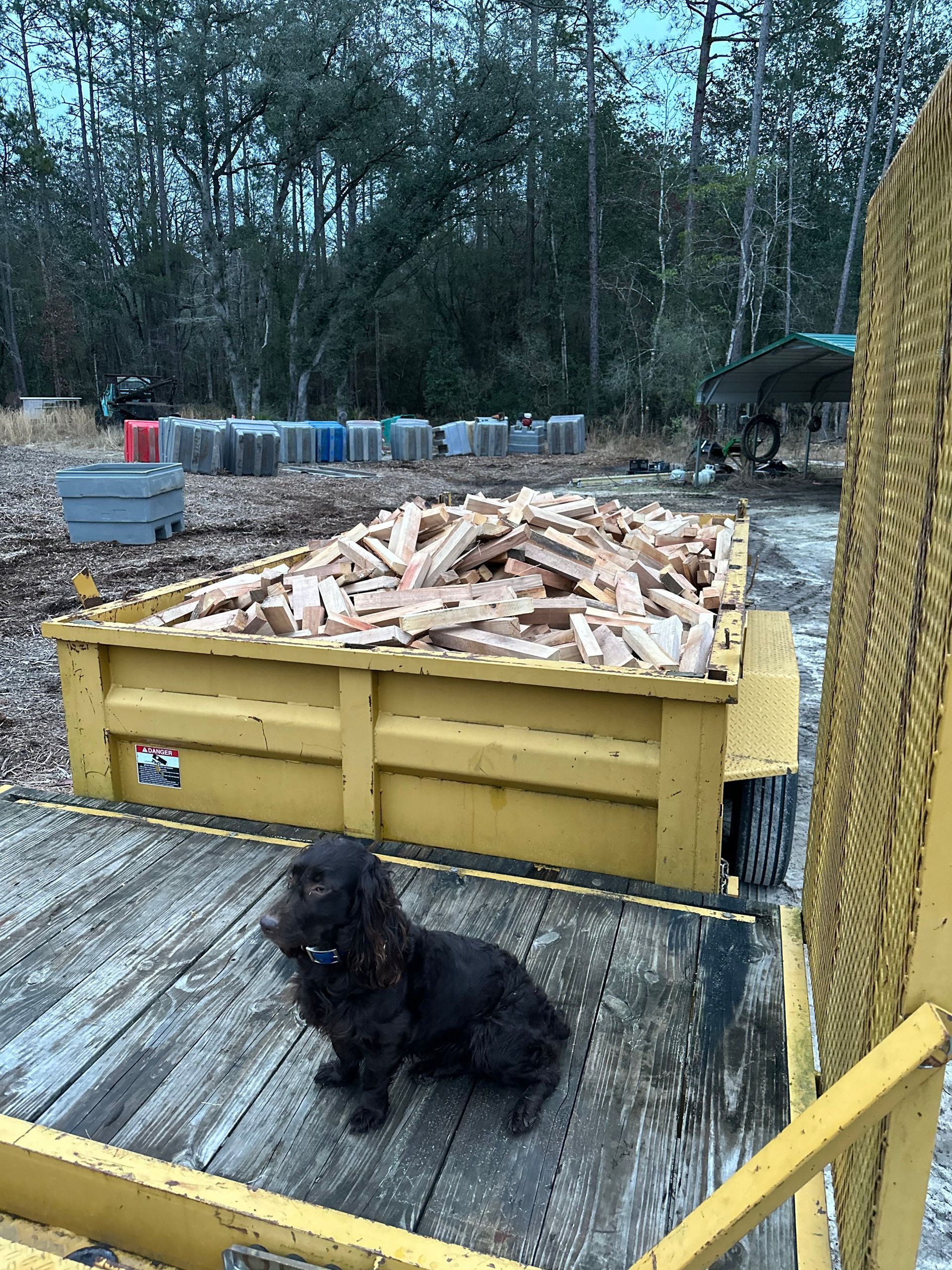Firewood In A Yellow Container - Crestview, FL - Diven Tree Services