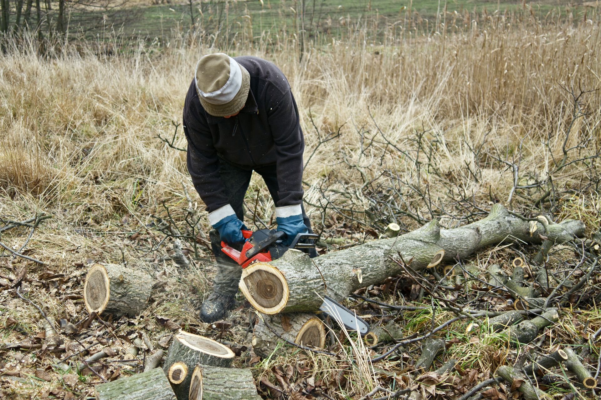 A person using a chainsaw to cut a fallen tree trunk.