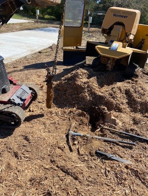 Heavy Machinery Removing A Tree Stump