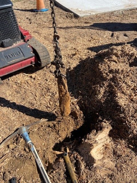Excavator Removing Tree Stump From Ground