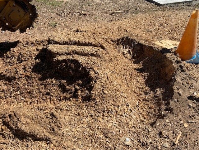 A Tree Stump Ground Into Woodchips