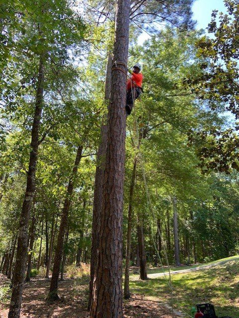 Colorful garden - Tree Services in Crestview, FL