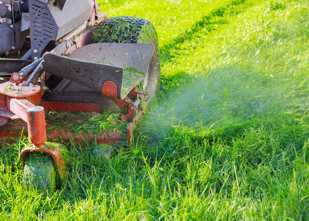 Lawnmower cutting green grass, blades visible, spraying clippings.
