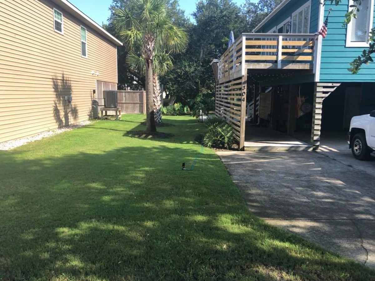 Lawn with two houses: beige and turquoise. Palm tree in the middle. A car parked.
