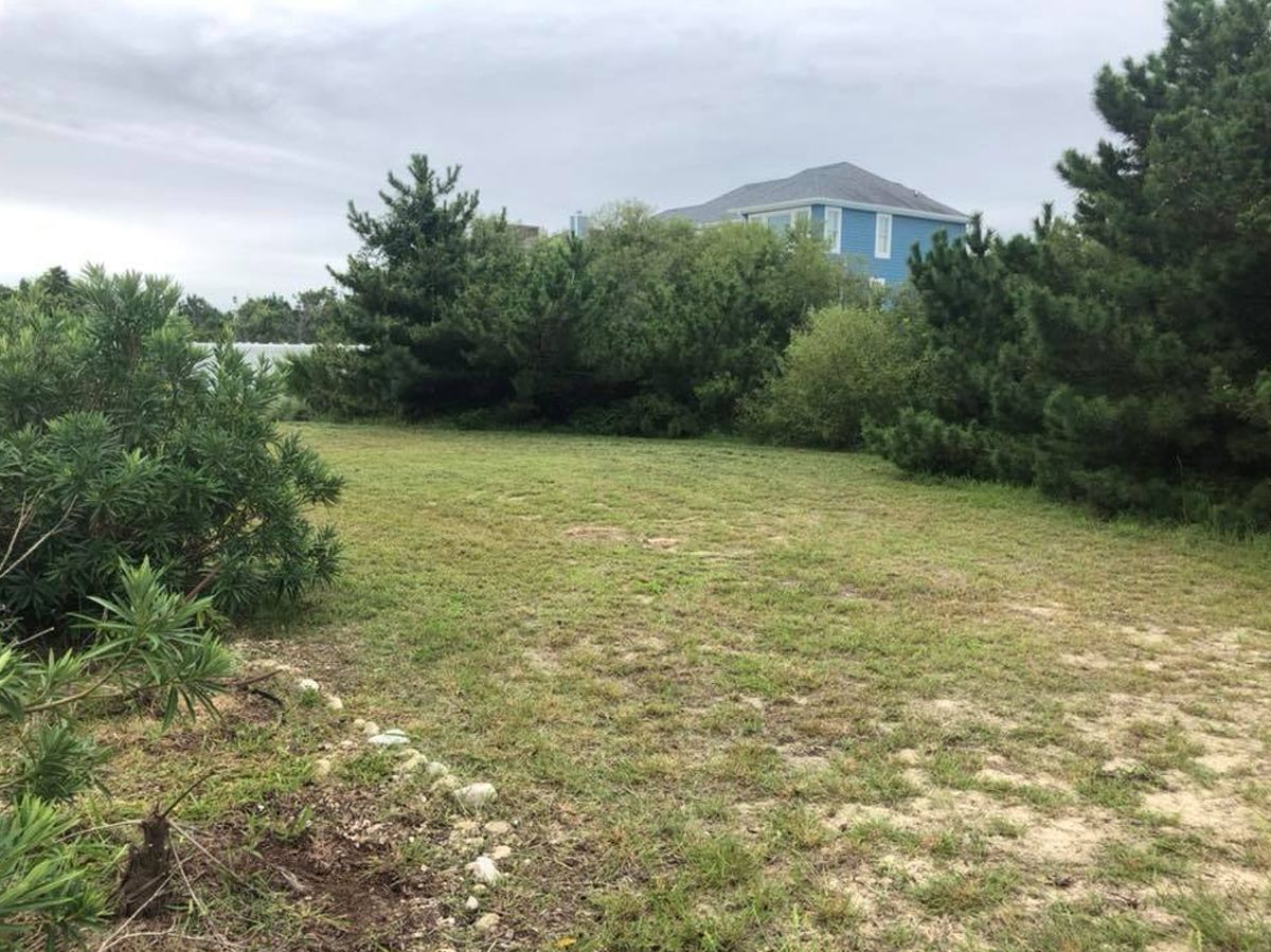 A grassy yard surrounded by green bushes and trees, with a blue house in the background.