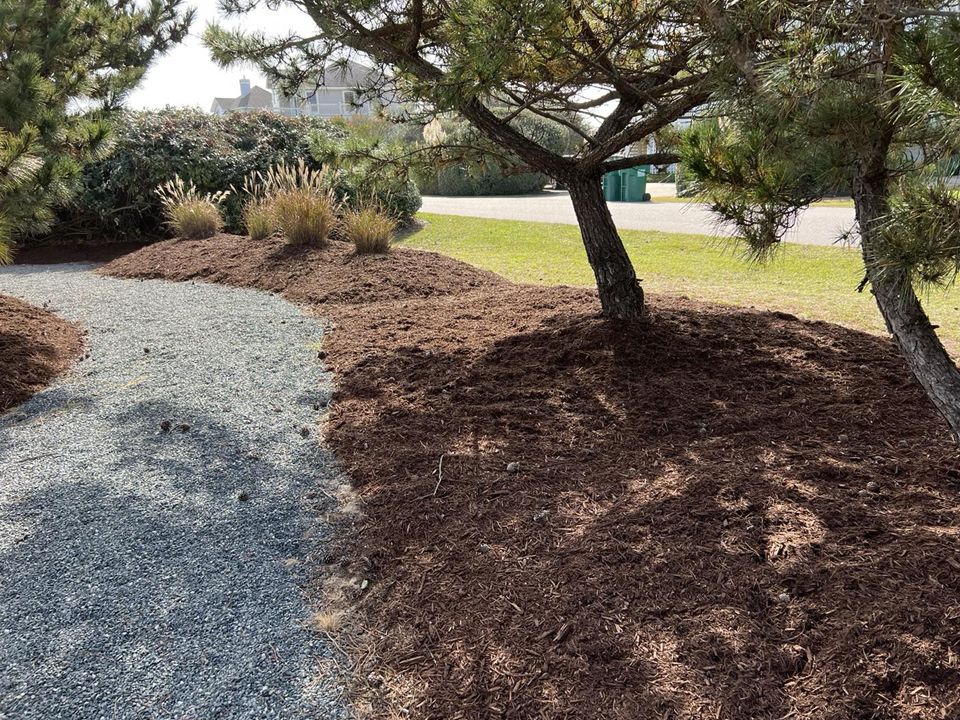 A gravel path winds through a landscaped garden with dark mulch and pine trees.