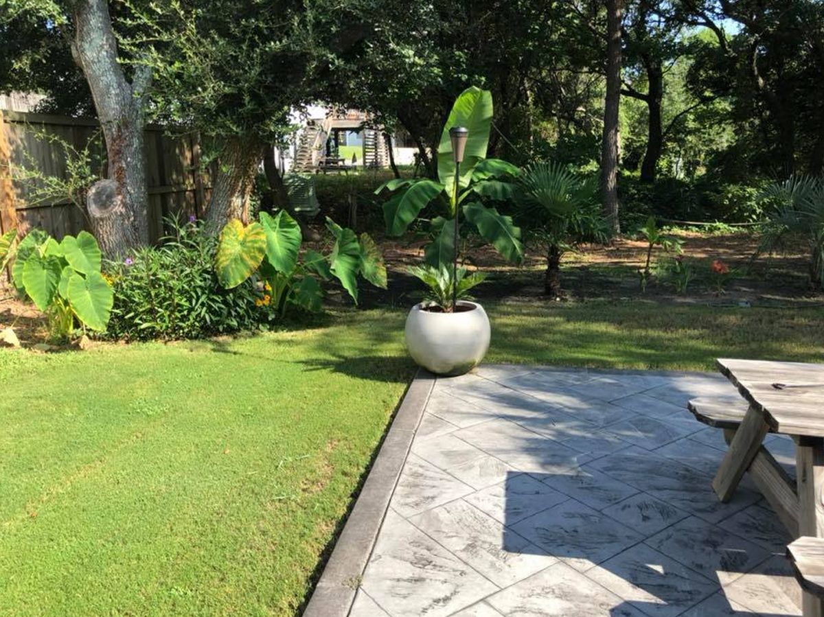 A sunny backyard with a potted banana tree, grass, and patio furniture.